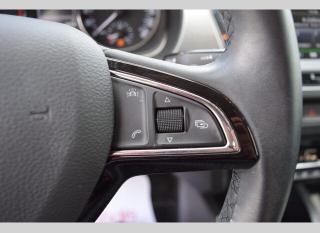 Škoda Fabia 1.2TSI81kw STYLE-PLUS EDITION full
